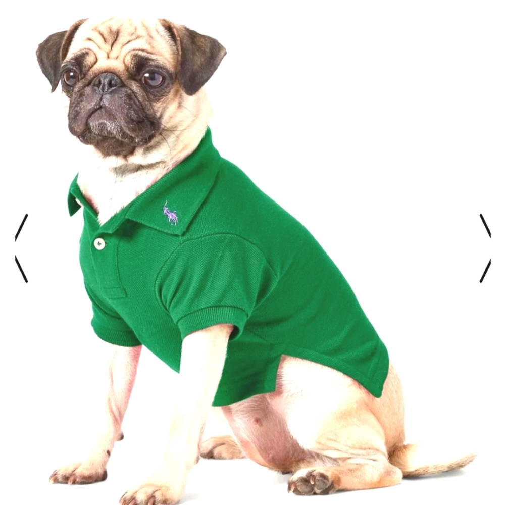 Ralph Lauren Pet NWT- dog polo XL ( French bulldog frenchie corgie beagle )